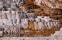 058 yellowstone, mammoth hot springs, lower terraces, palette spring